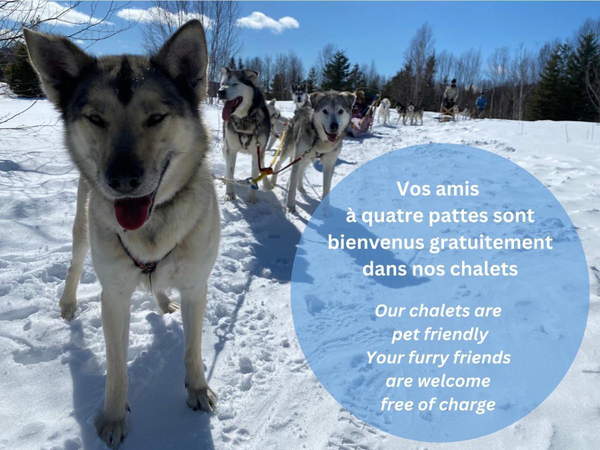 Husky - Chalets De Moh - Jacuzzi La Malbaie Ngoại thất bức ảnh